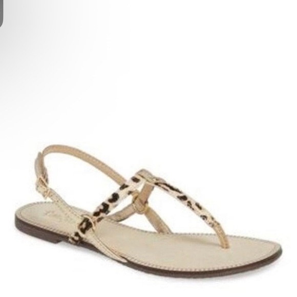 Lily Pulitzer Cheetah Print Gladiator Sandals – Gold Trim, Size 7 - Picture 1 of 4